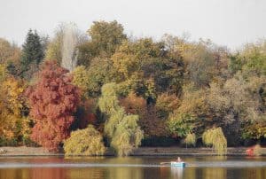 autumn, trees, lake