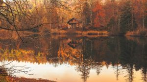 autumn, fall, cottage