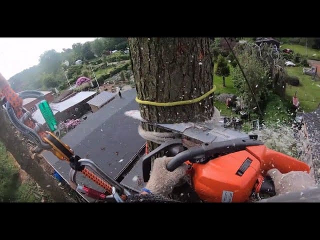 Best Quality POV arborist tree removal