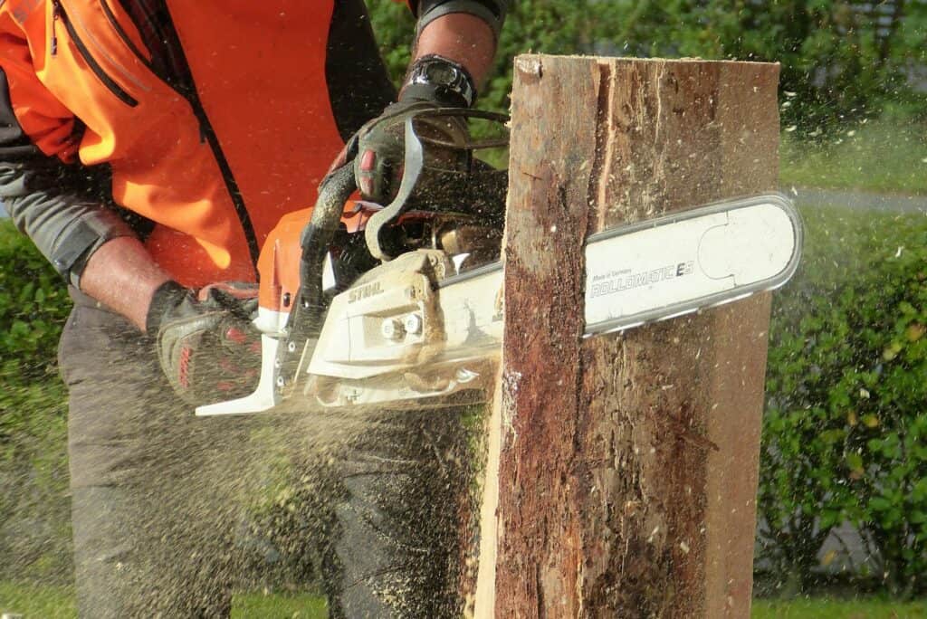 Affordable tree removal services in Wheaton chainsaw